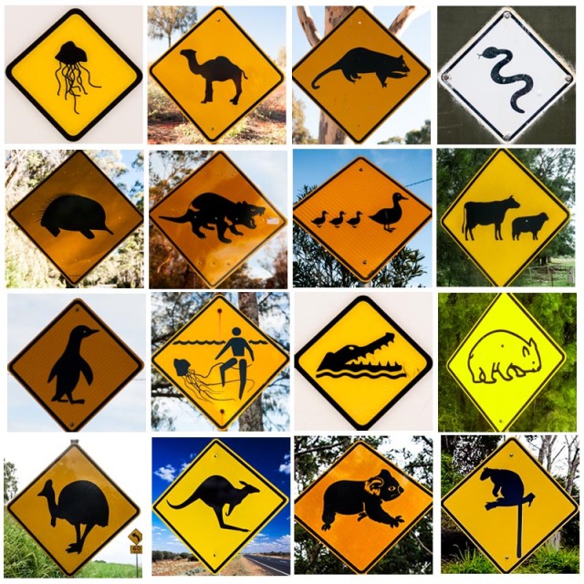 Znaki drogowe w Australii